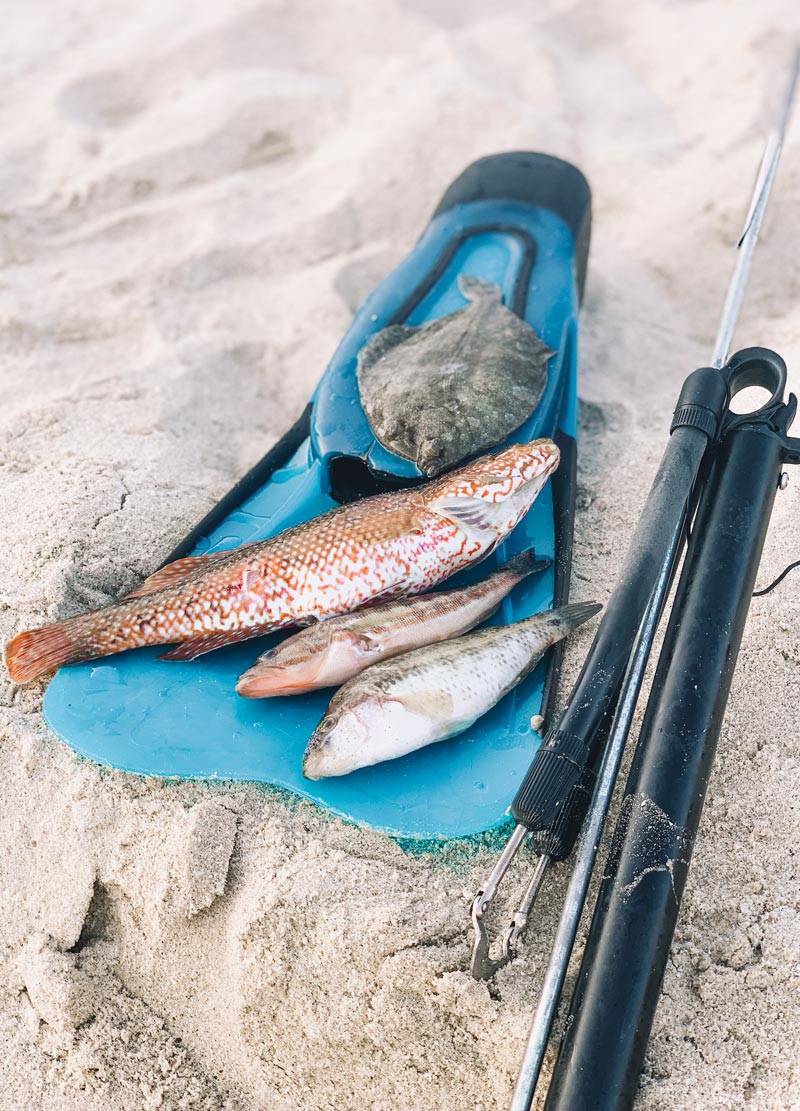 Spear Fishing In Donoussa Island