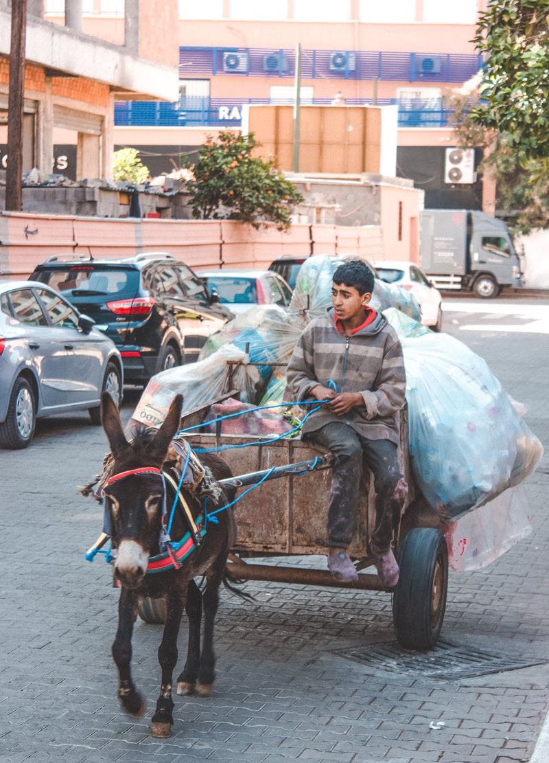 Kid Working In Morocco