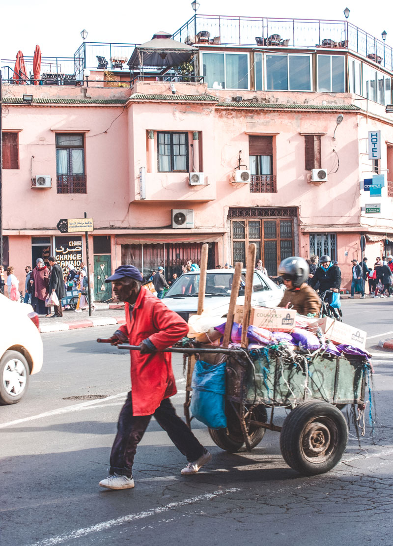 Moroccan Hardworker