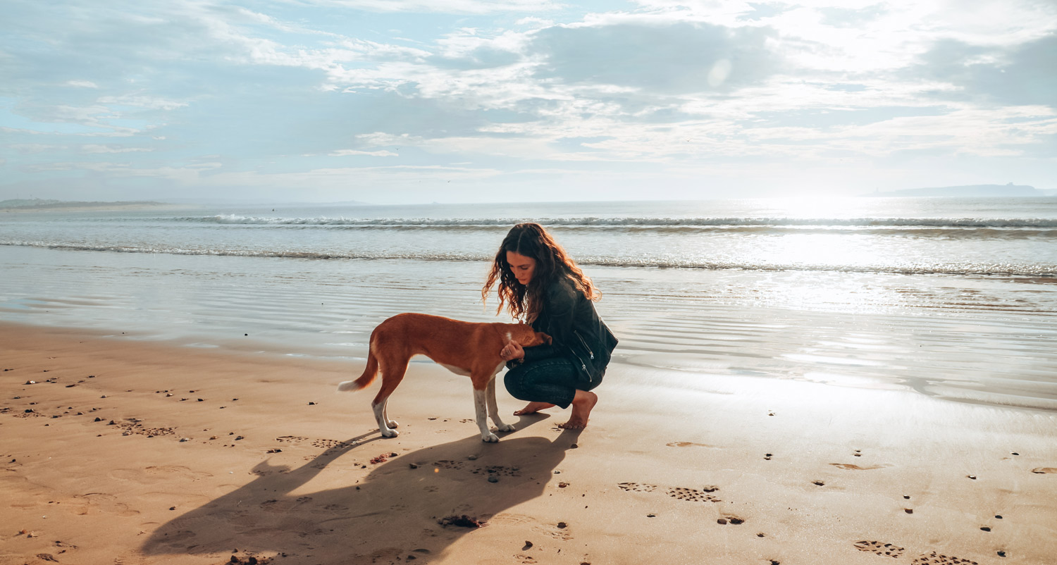 solo female traveller in morocco