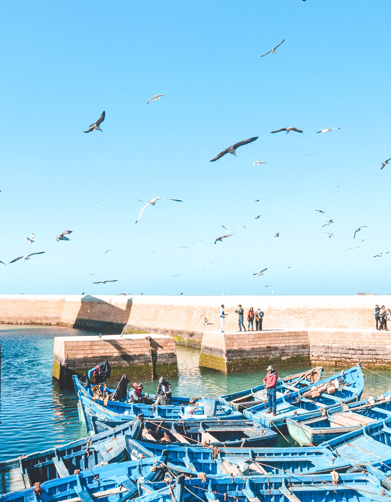 Essaouira travel guide