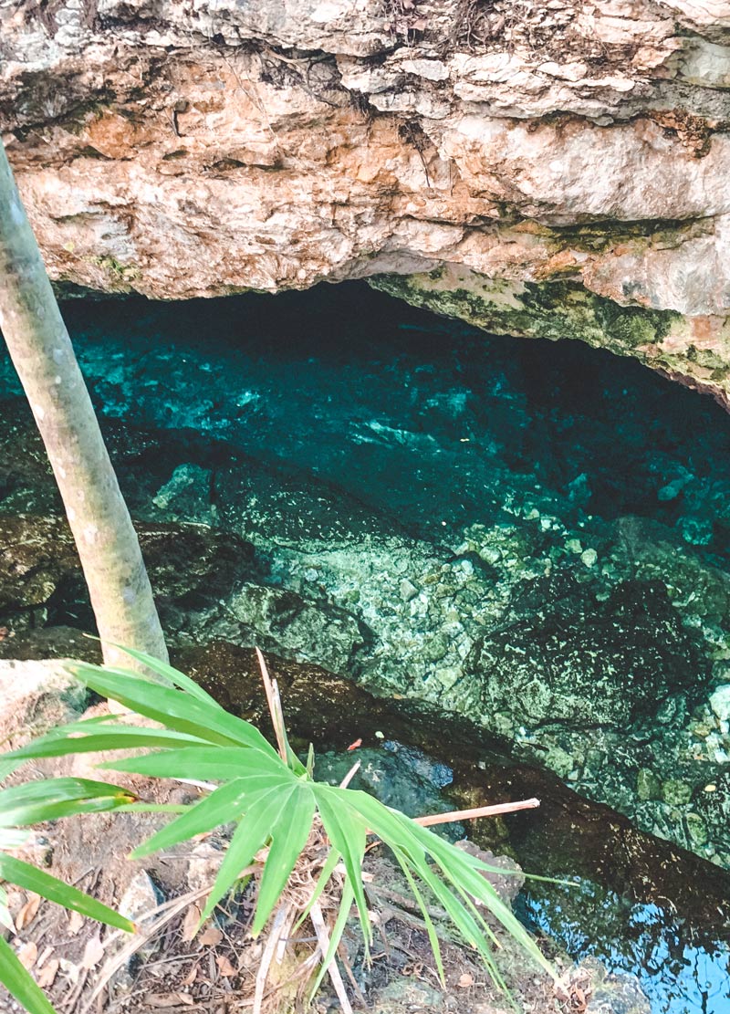 caves cenote yucatan