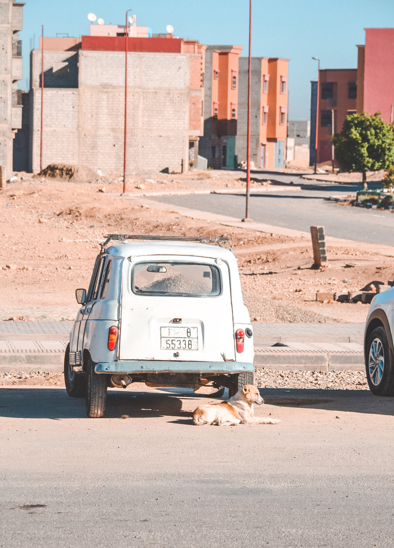 day trip marrakech essaouira