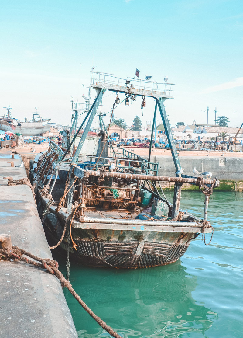 essaouira harbour fish