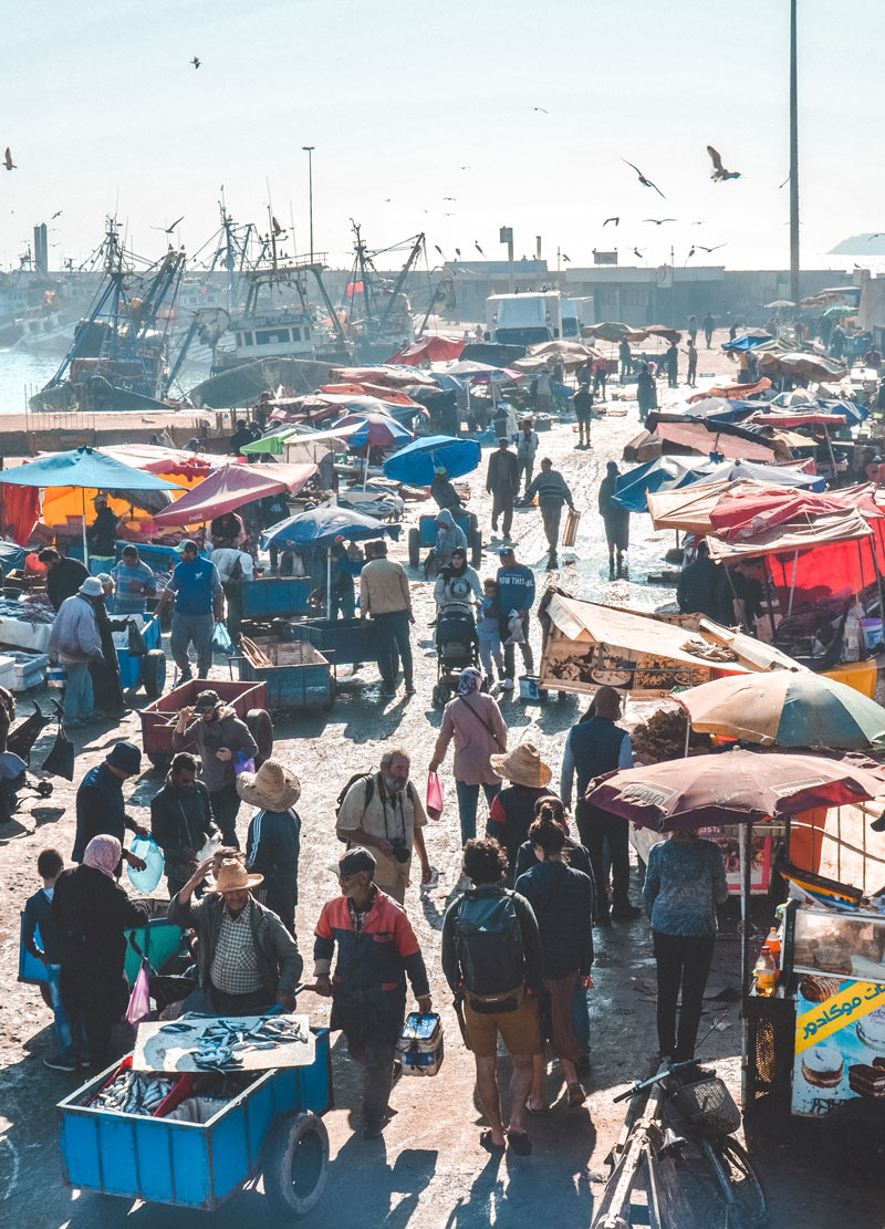 fish market essaouira