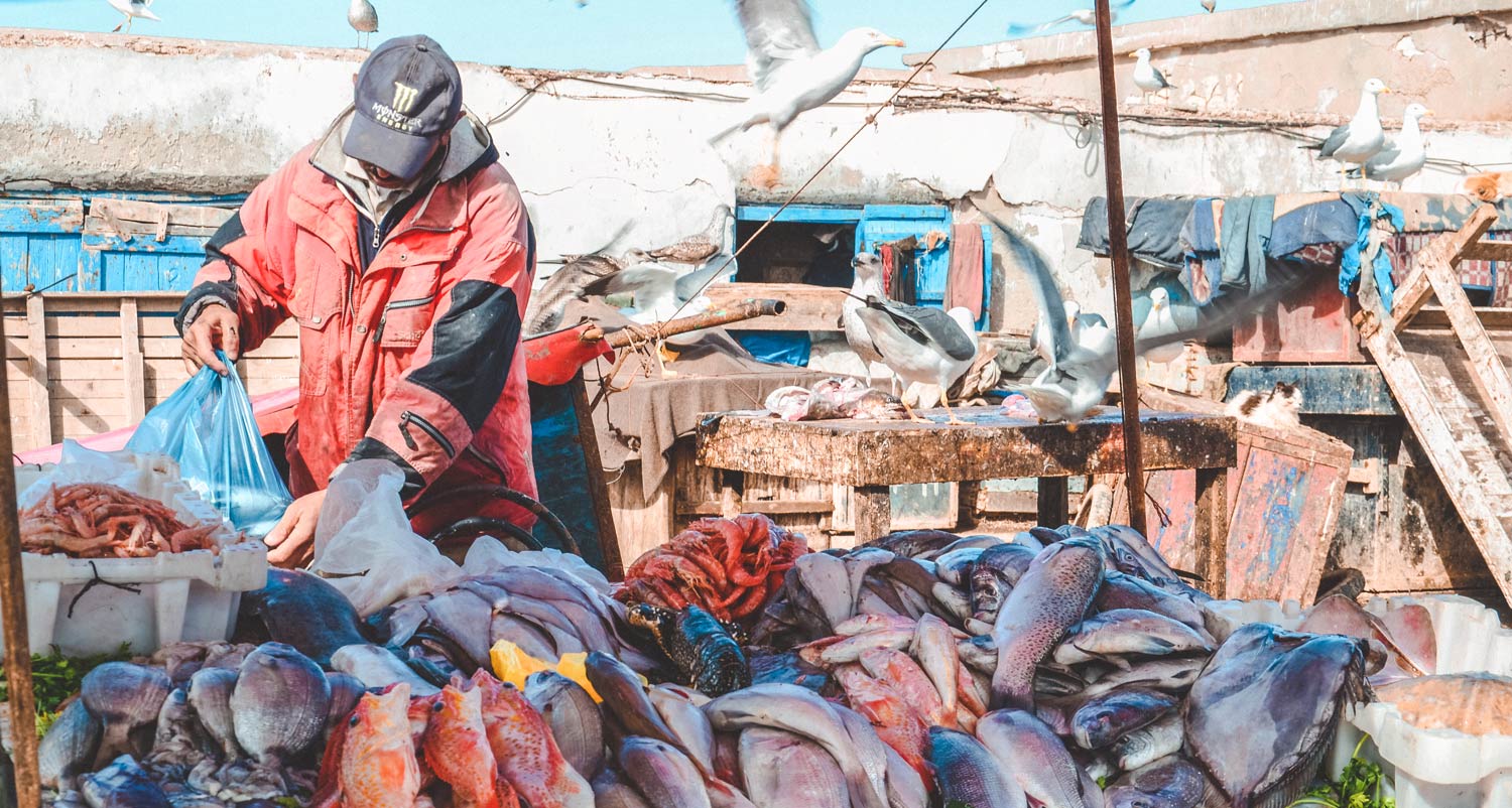 fish seafood essaouira