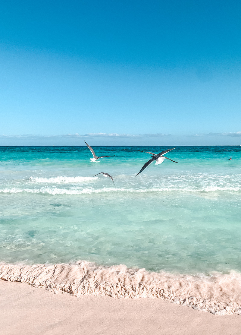 beach tulum sea caribbean