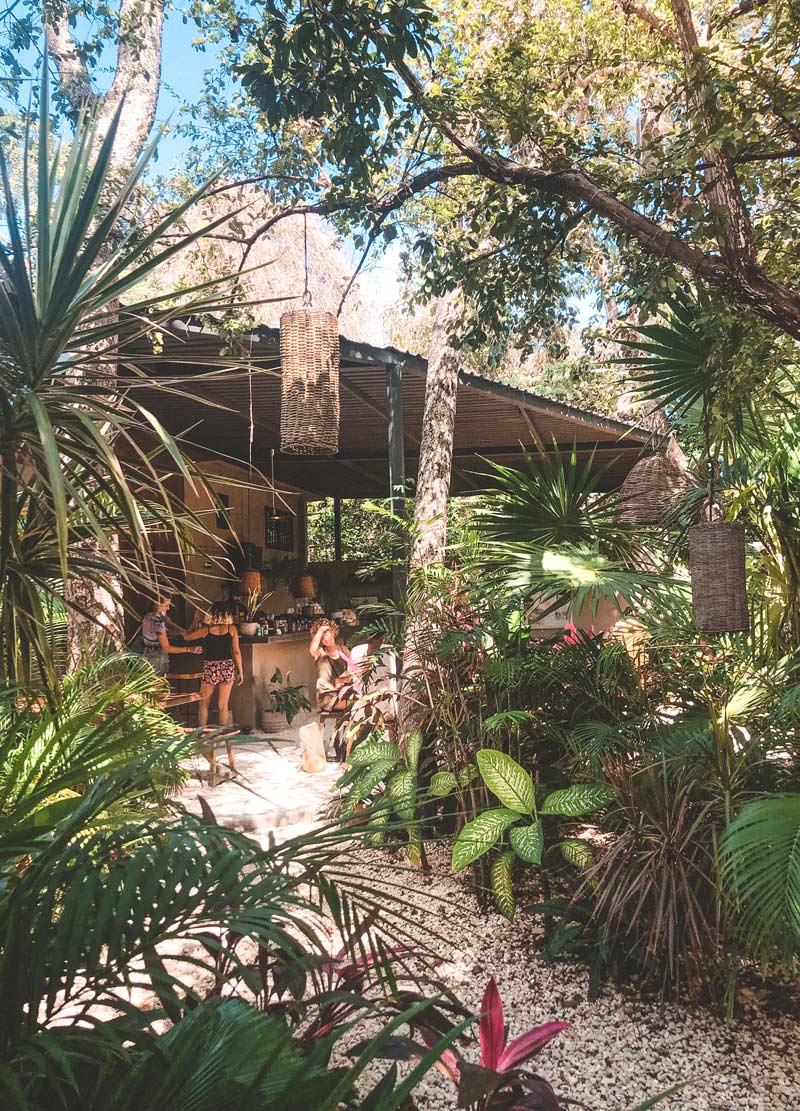 botanica garedn tulum restaurant