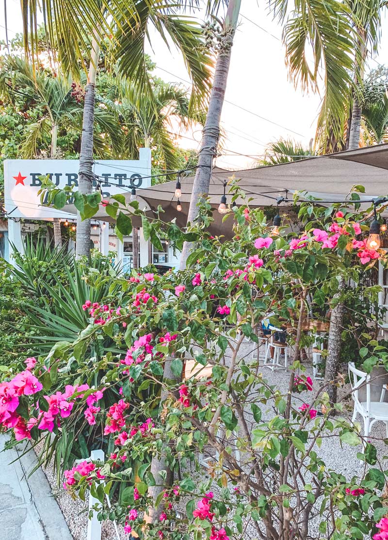 burrito amor tulum mexico