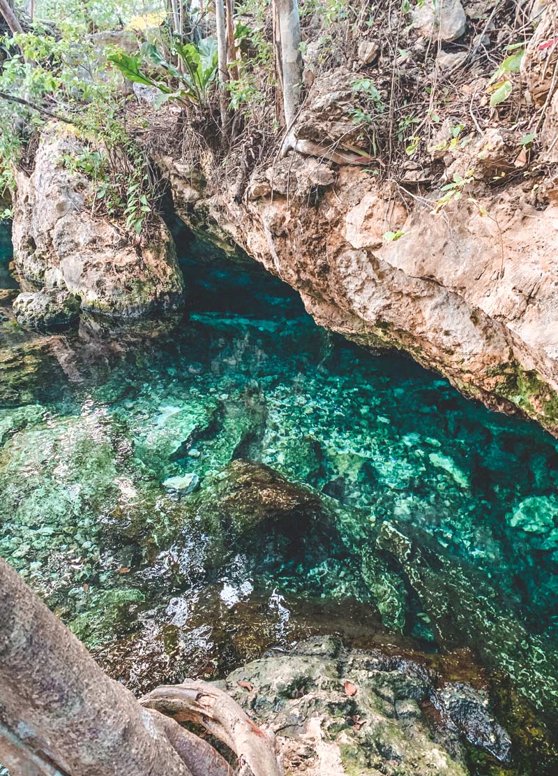 cenote escondido tulum mexico