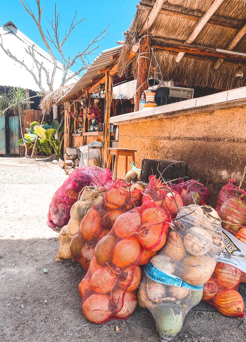 fresh coconut juice water