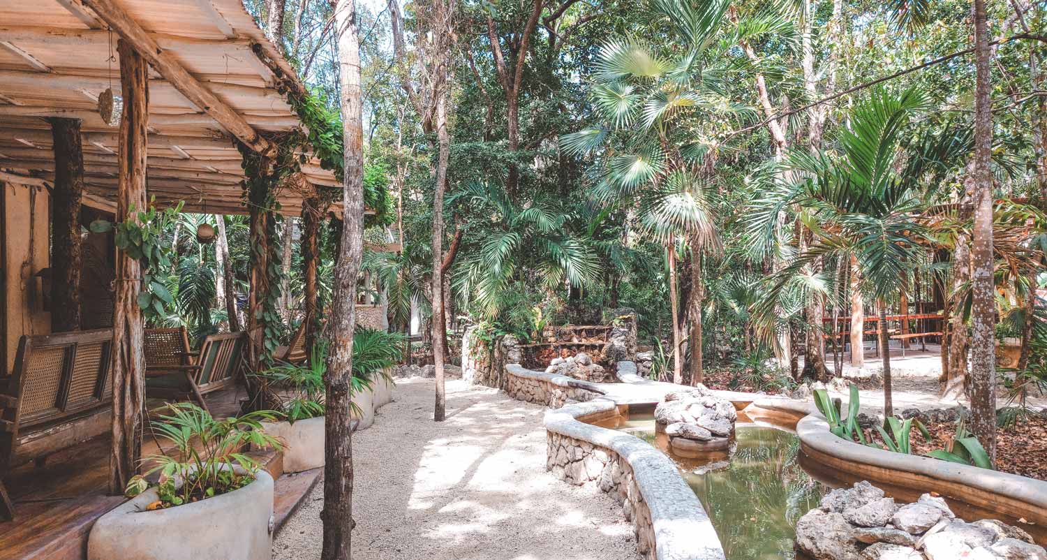 holistika yoga retreats tulum