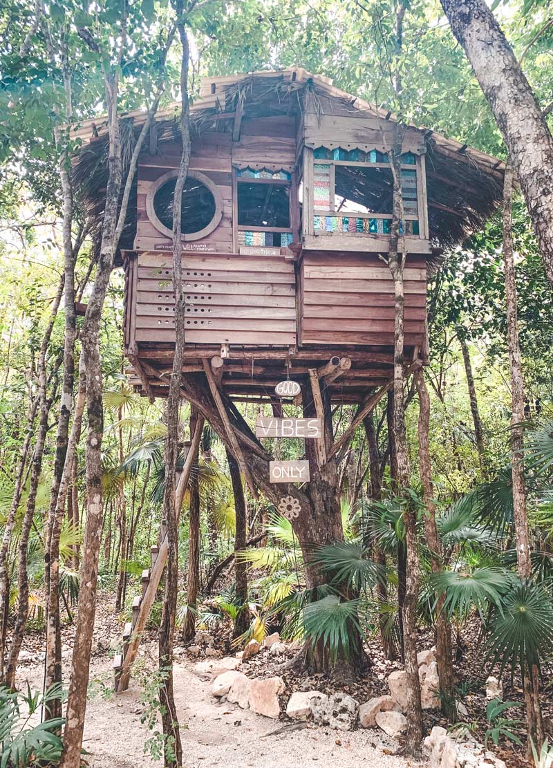 jungle with cenote tulum