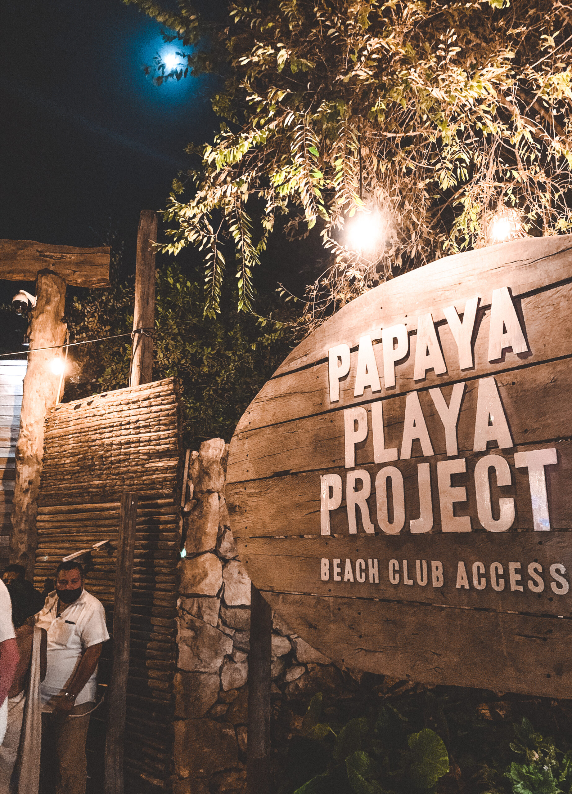 papaya playa project entrance