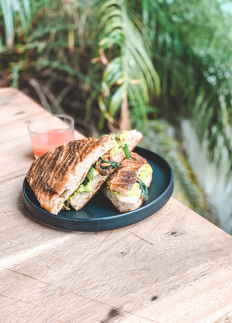 vegan toast tulum breakfast