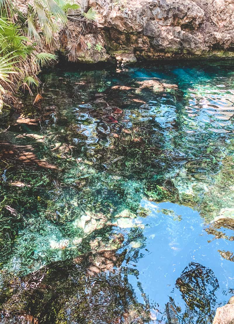 tulum cenote excursion riviera maya