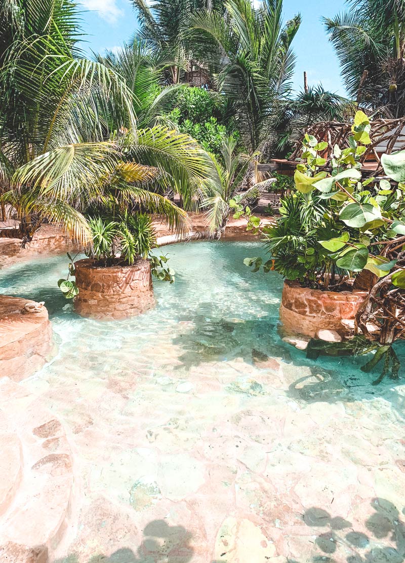 tulum jungle beach hotel