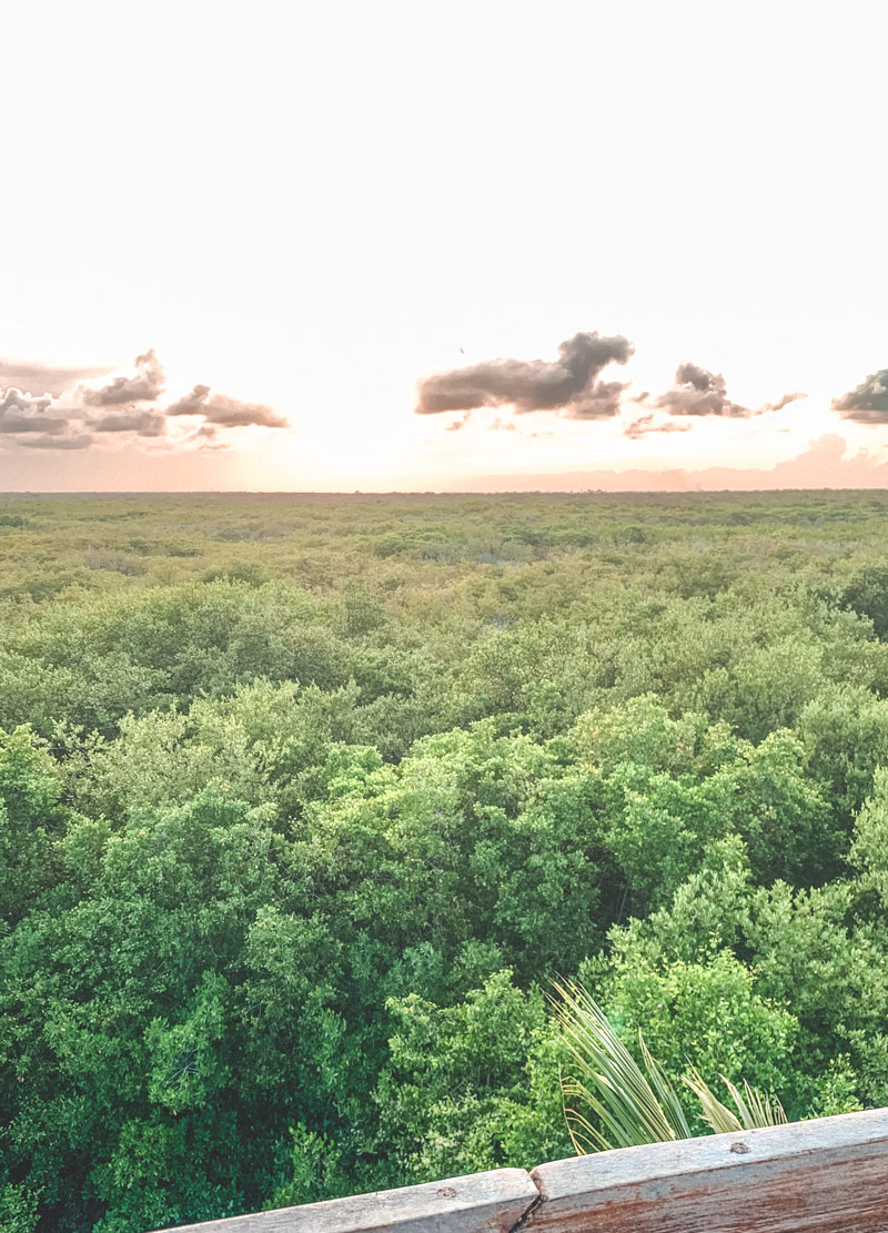 tulum jungle excursion