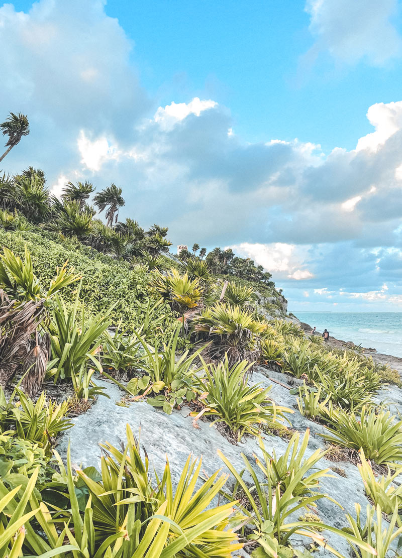 tulum ruins excursion