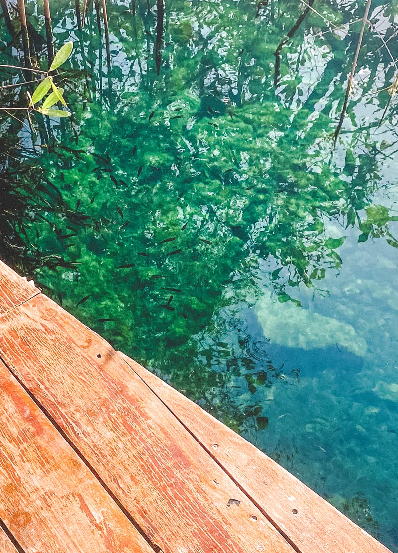 cenote coba yucatan