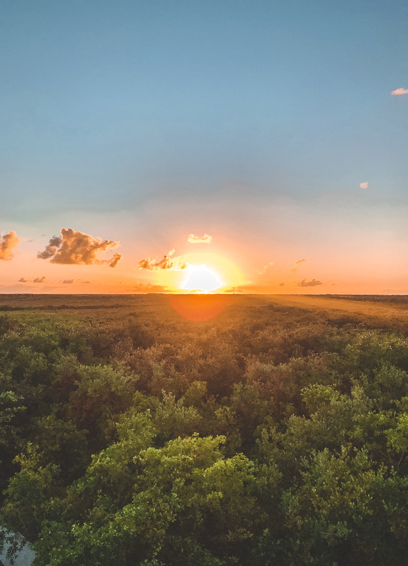 sian kaan jungle tulum