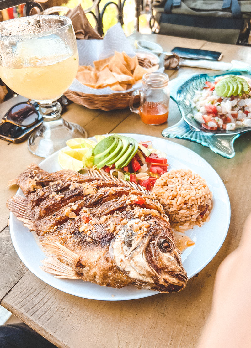 tulum cenote tour mexico food