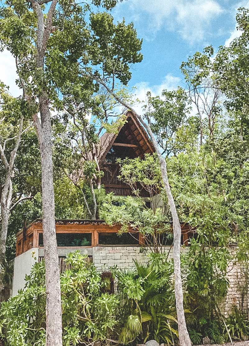 tulum villas in the jungle