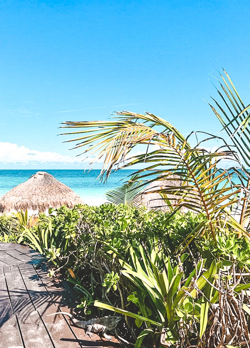 atv tulum rental beach