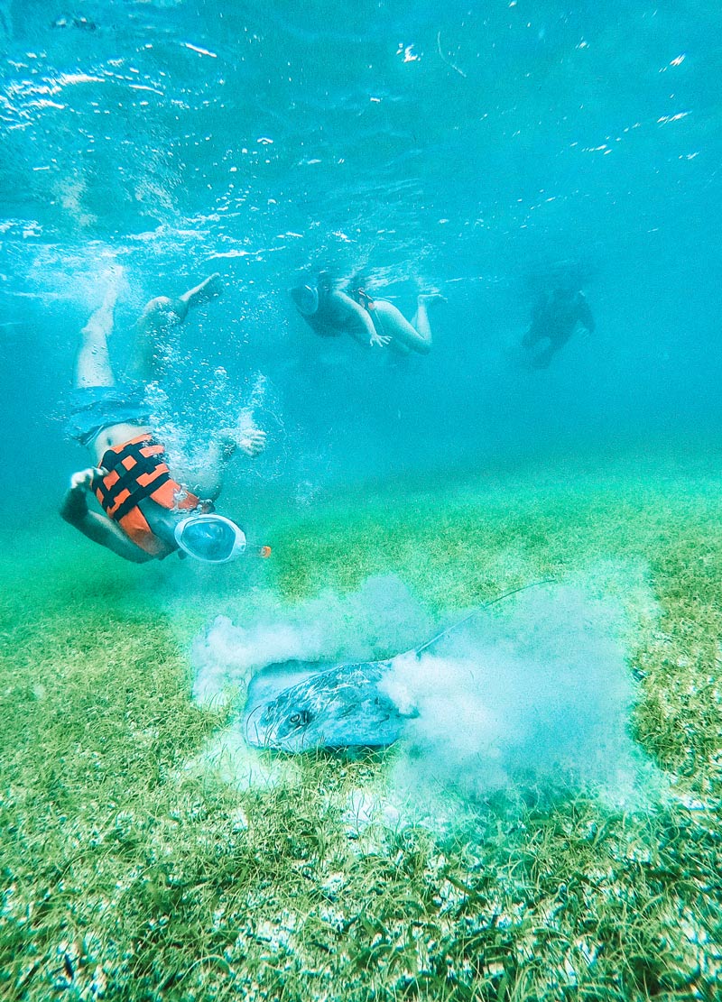 akumal snorkeling tour mexico