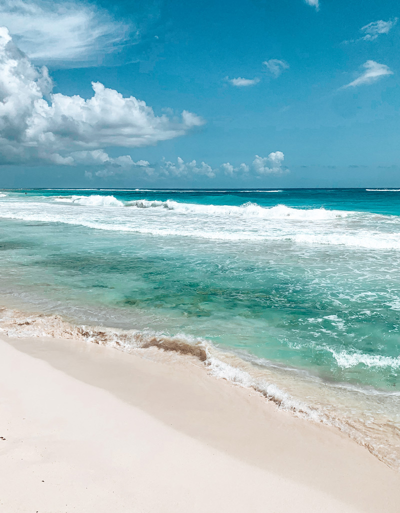 beach akumal guide mexico