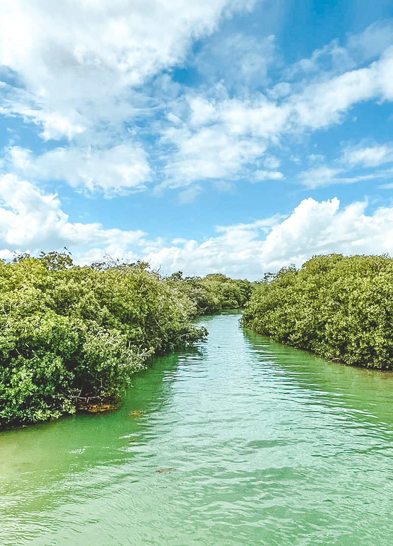 best day rips quintana roo