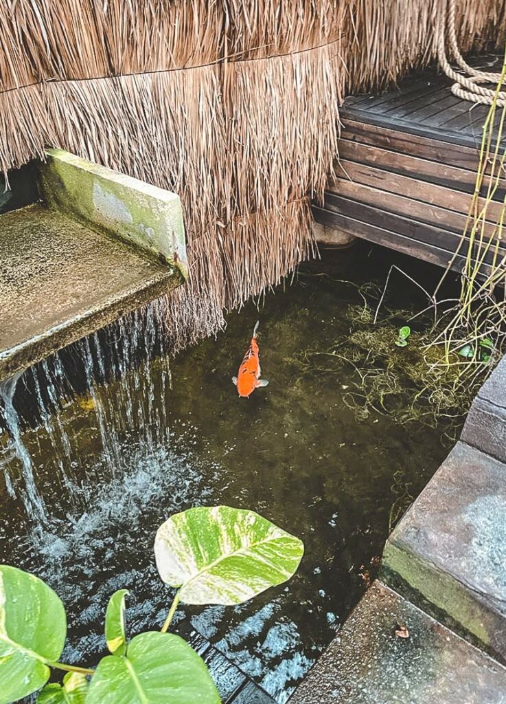Best Tulum Spa A Unique Massage, Healing & Wellness Experience