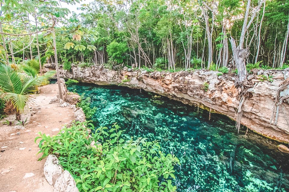 cenote casa tortuga turtles snorkel