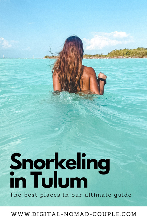 snorkeling in tulum tours riviera maya