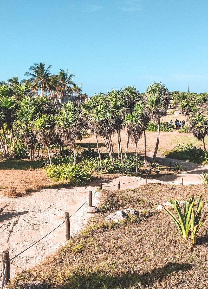 tulum mayan ruins mexico tour