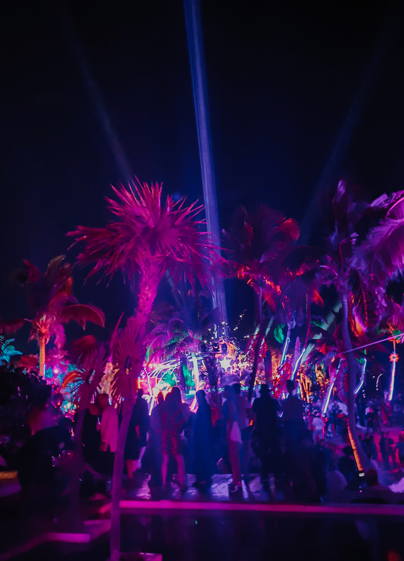 papaya playa project tulum nye