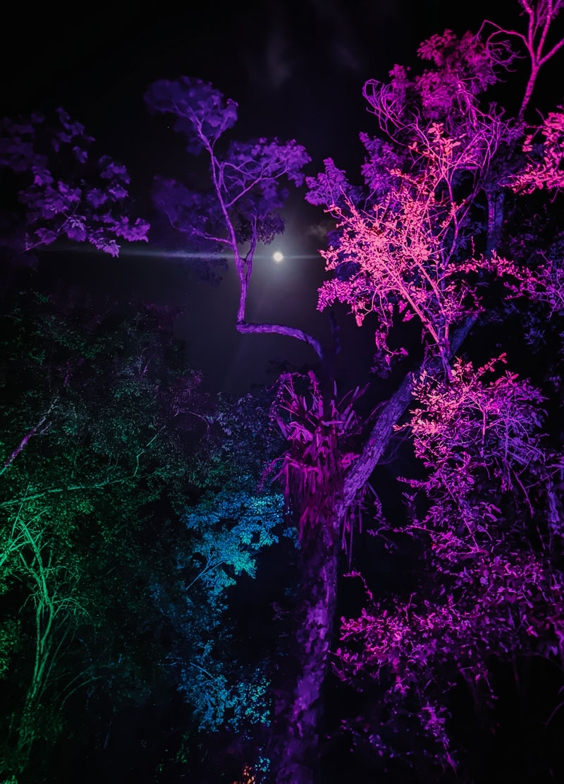 Zamna Festival Tulum 2024: Complete Survival Guide