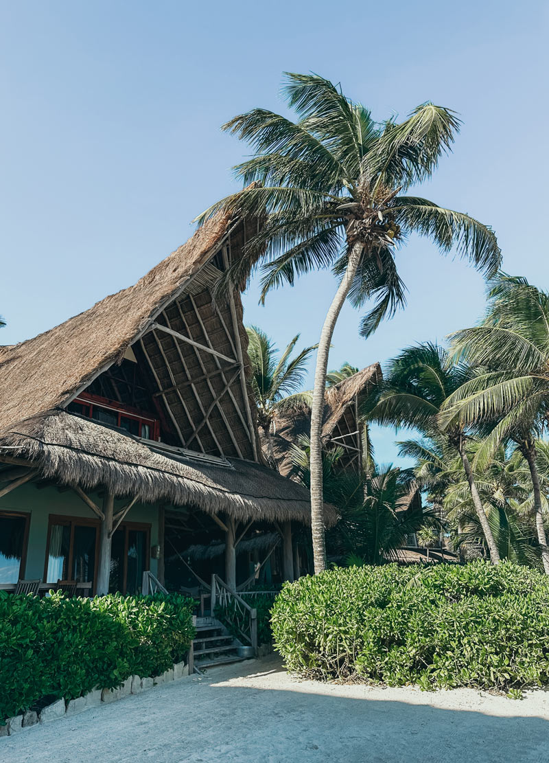 dreams hotel tulum bachelorette