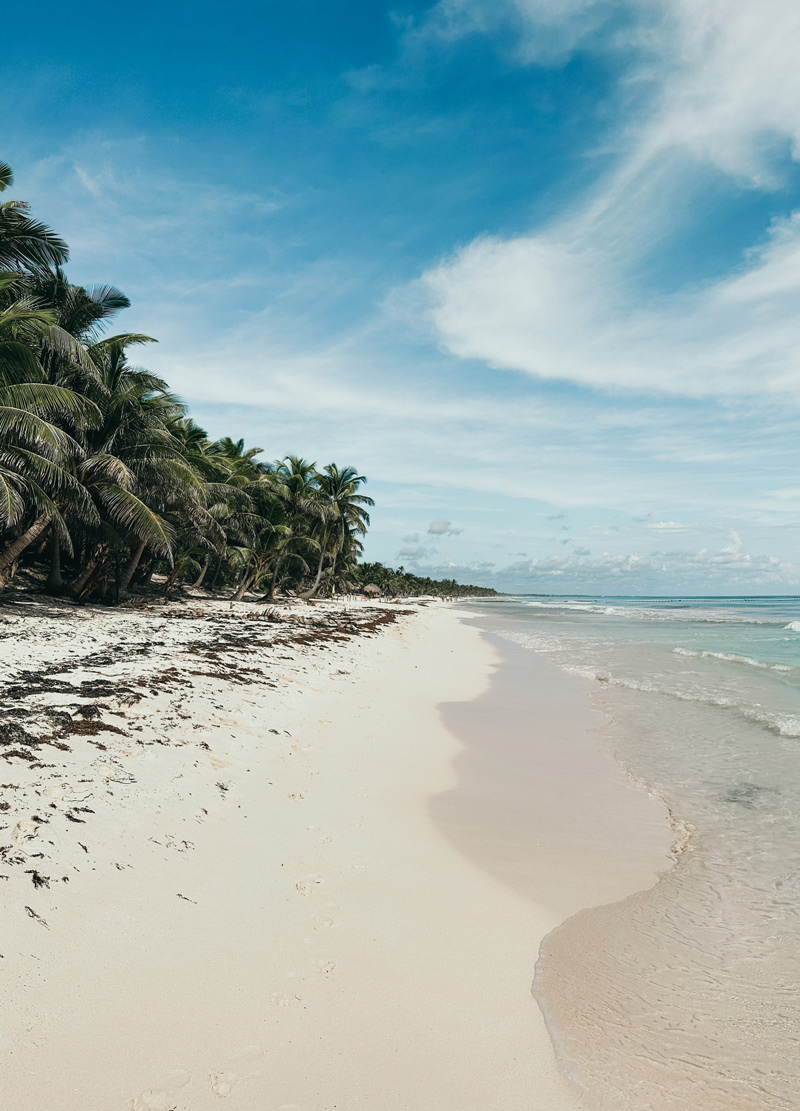 rooftop beach tulum guide