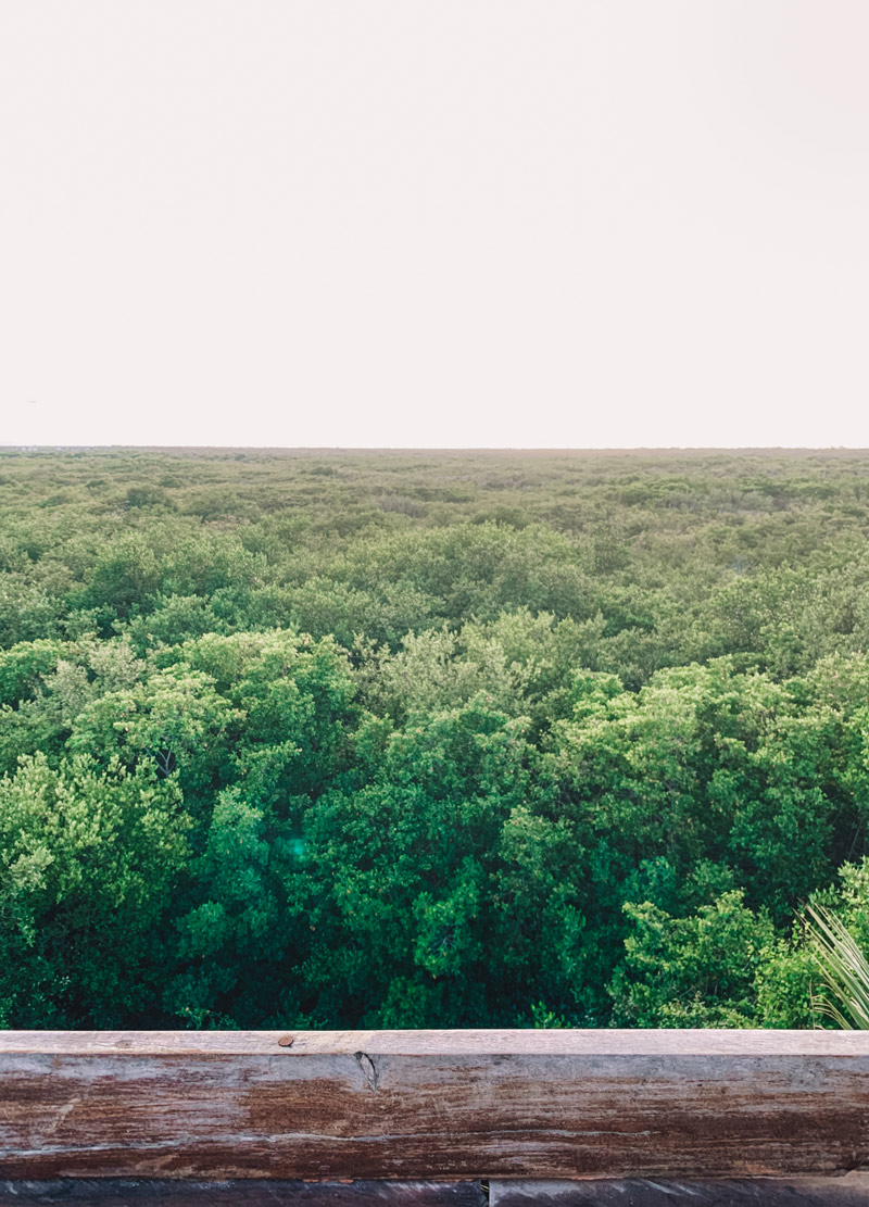 rooftop tulum muuyal