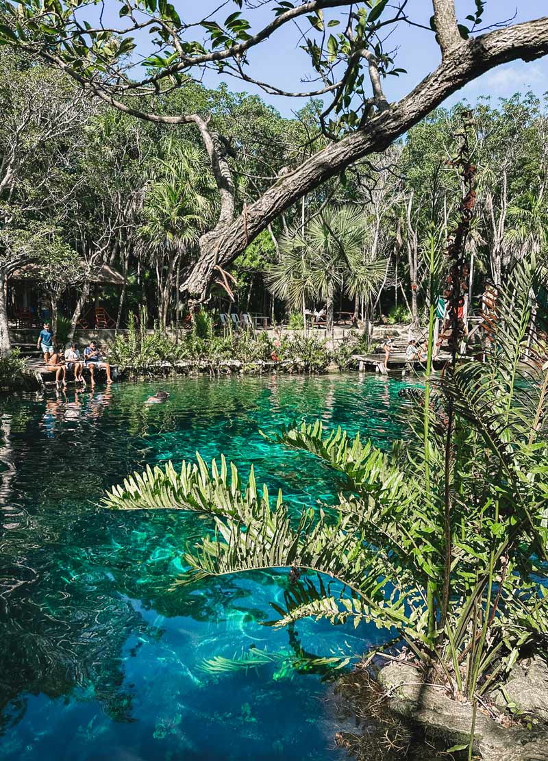 cenote escondido tulum riviera maya