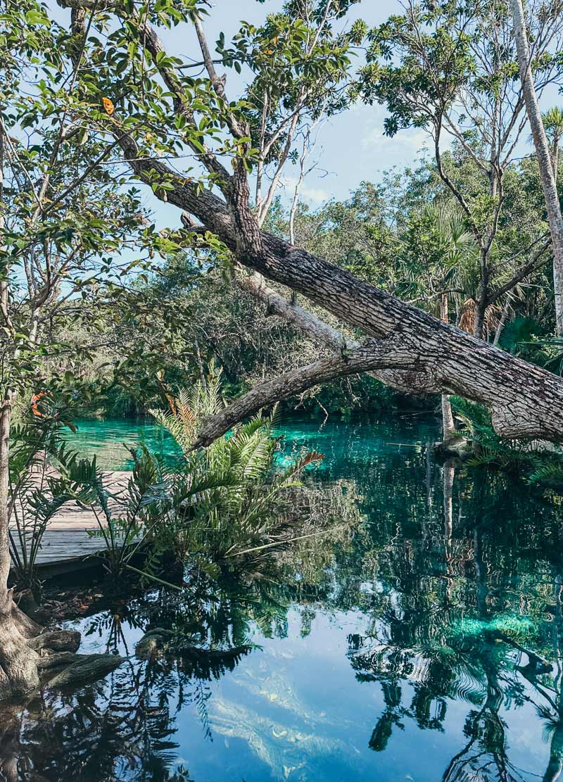 cenote escondido tulum snorkeling