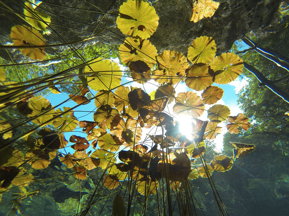 cenote nicte ha underwater