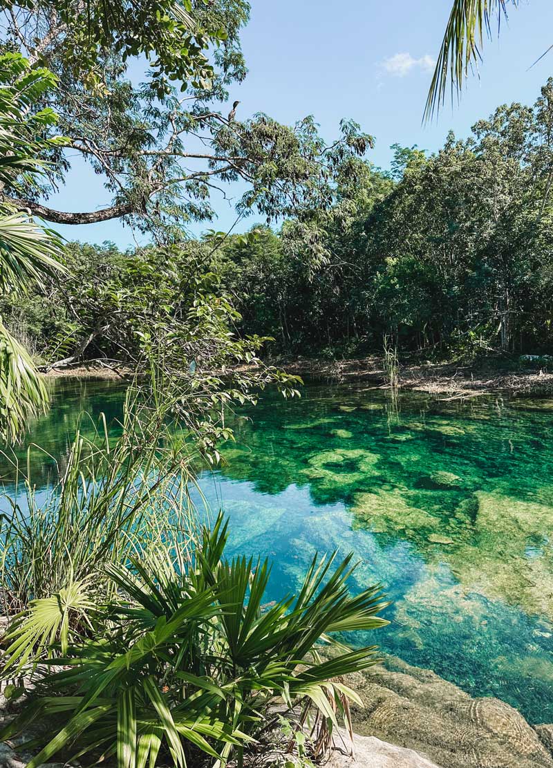 cenote tankah park tulum