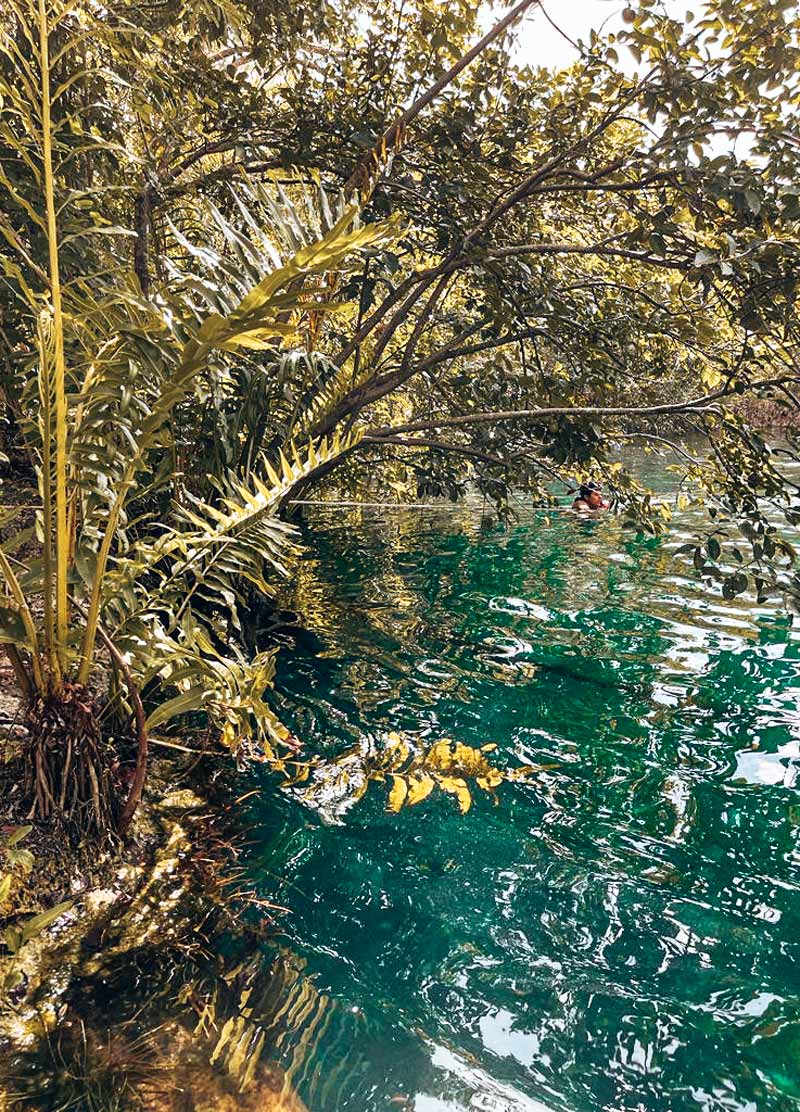 cenote tulum tours mexico