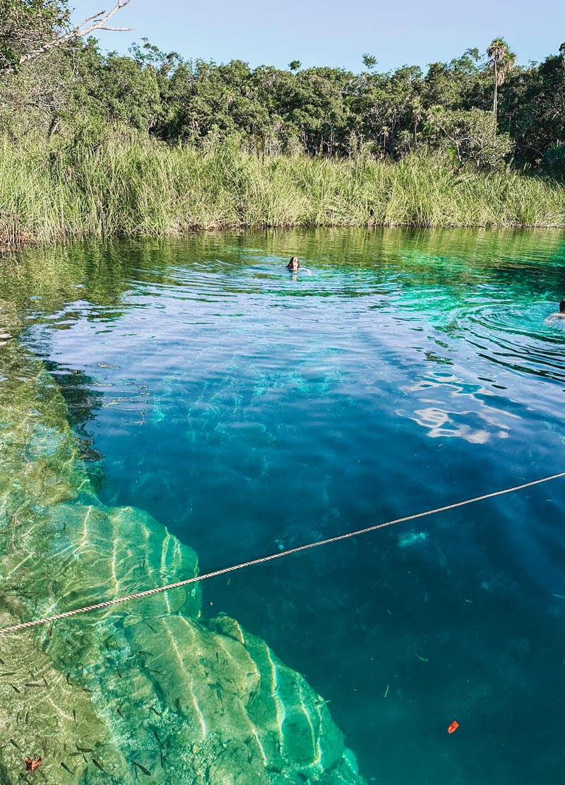 cenote zacil-ha tulum activity