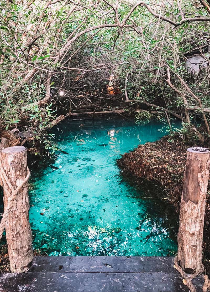 gran cenote tulum underwater
