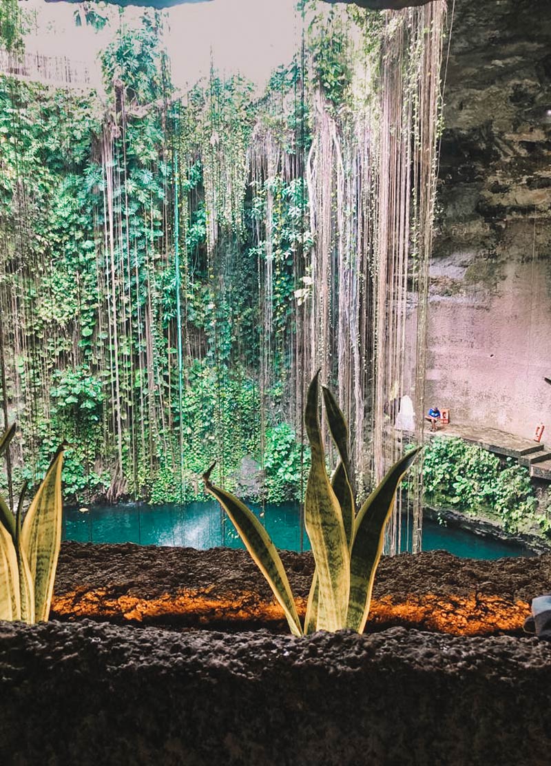 tulum cenote calavera mexco day trip