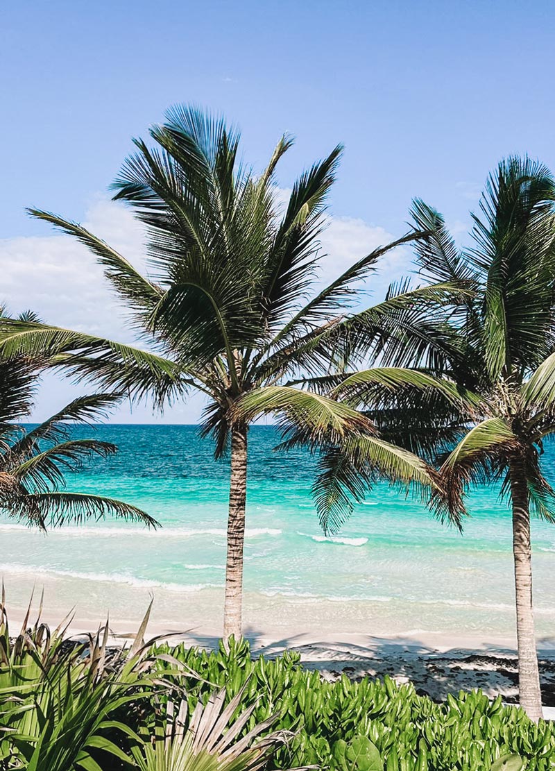 tulum juices bar beach