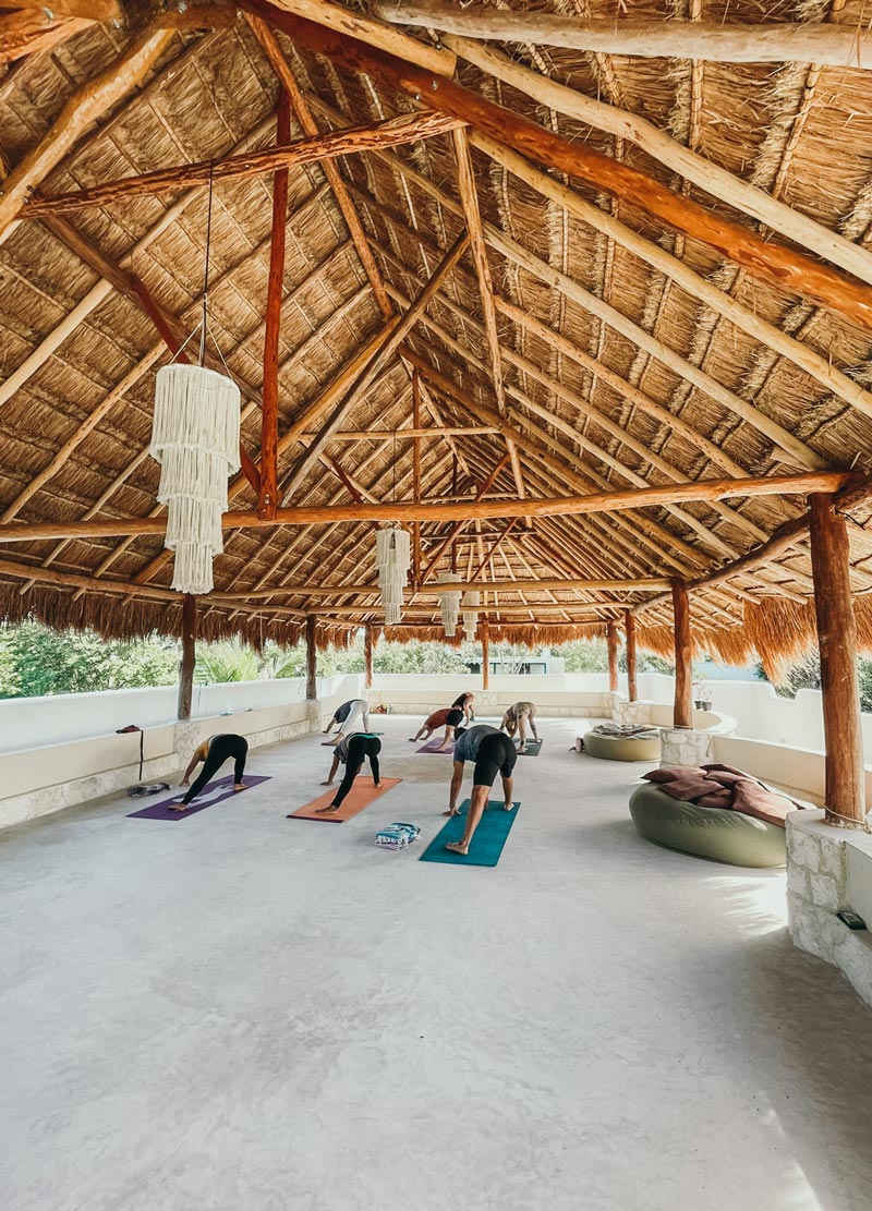 wellness classes tulum prices